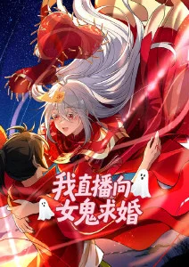 纸鸢与少年动漫海报